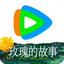 外国小说读后感800字左右
